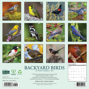 Willow Creek Press - 2027 Backyard Birds Of North America Calendar