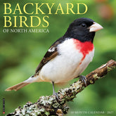Willow Creek Press - 2027 Backyard Birds Of North America Calendar