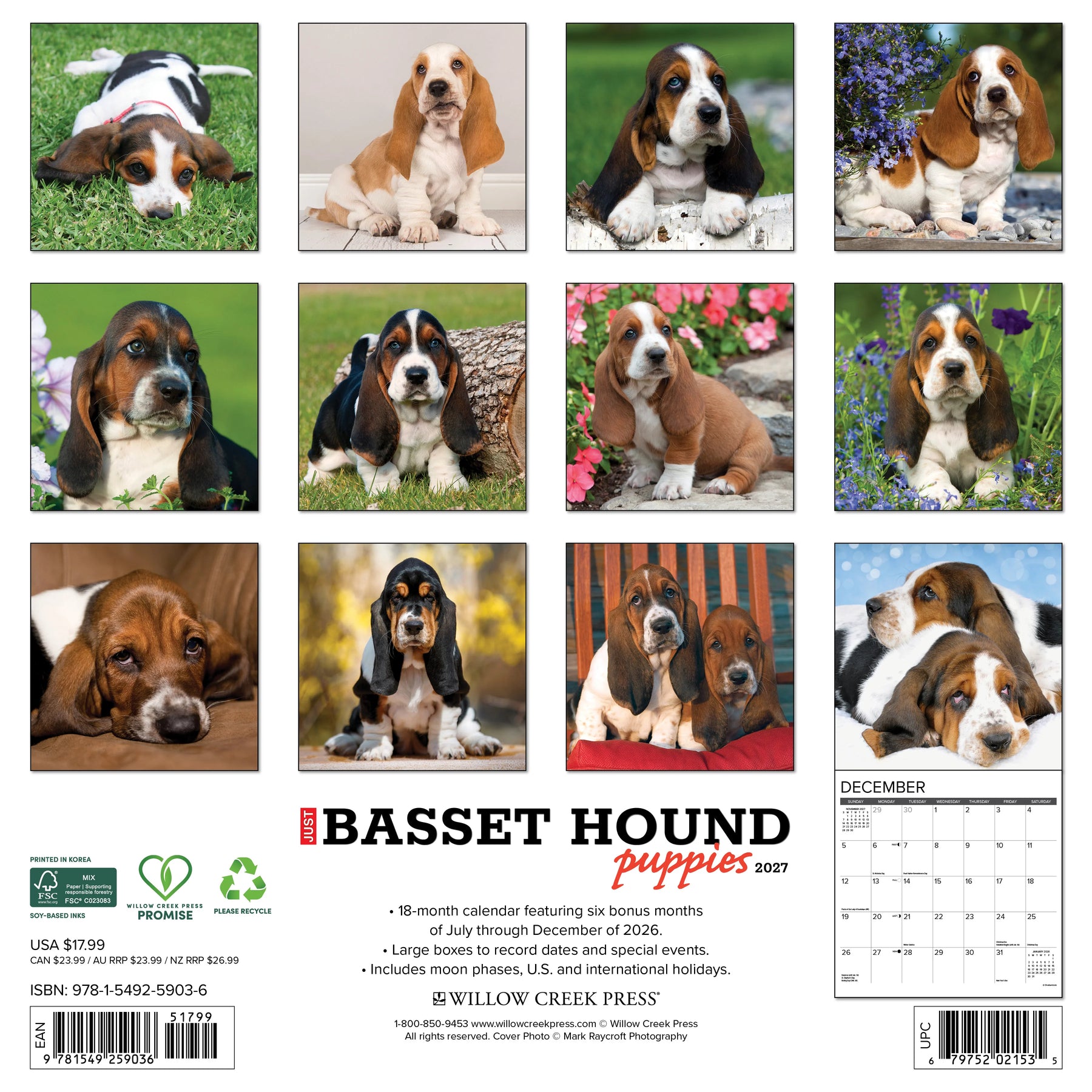 Willow Creek Press - 2027 Basset Hound Pups Calendar