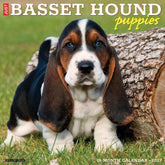 Willow Creek Press - 2027 Basset Hound Pups Calendar