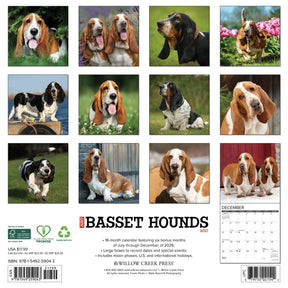 Willow Creek Press - 2027 Basset Hounds Calendar