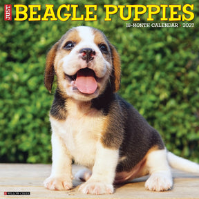 Willow Creek Press - 2027 Beagle Pups Calendar