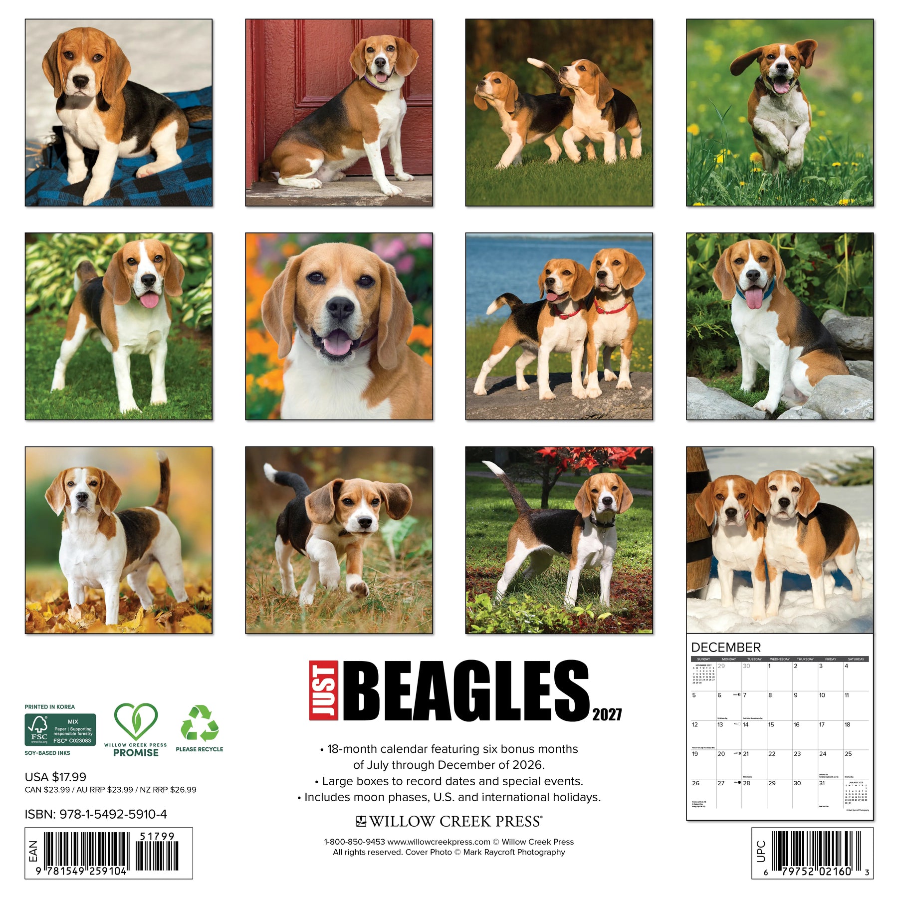 Willow Creek Press - 2027 Beagles Calendar