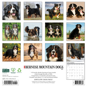 Willow Creek Press - 2027 Bernese Mountain Dog Calendar