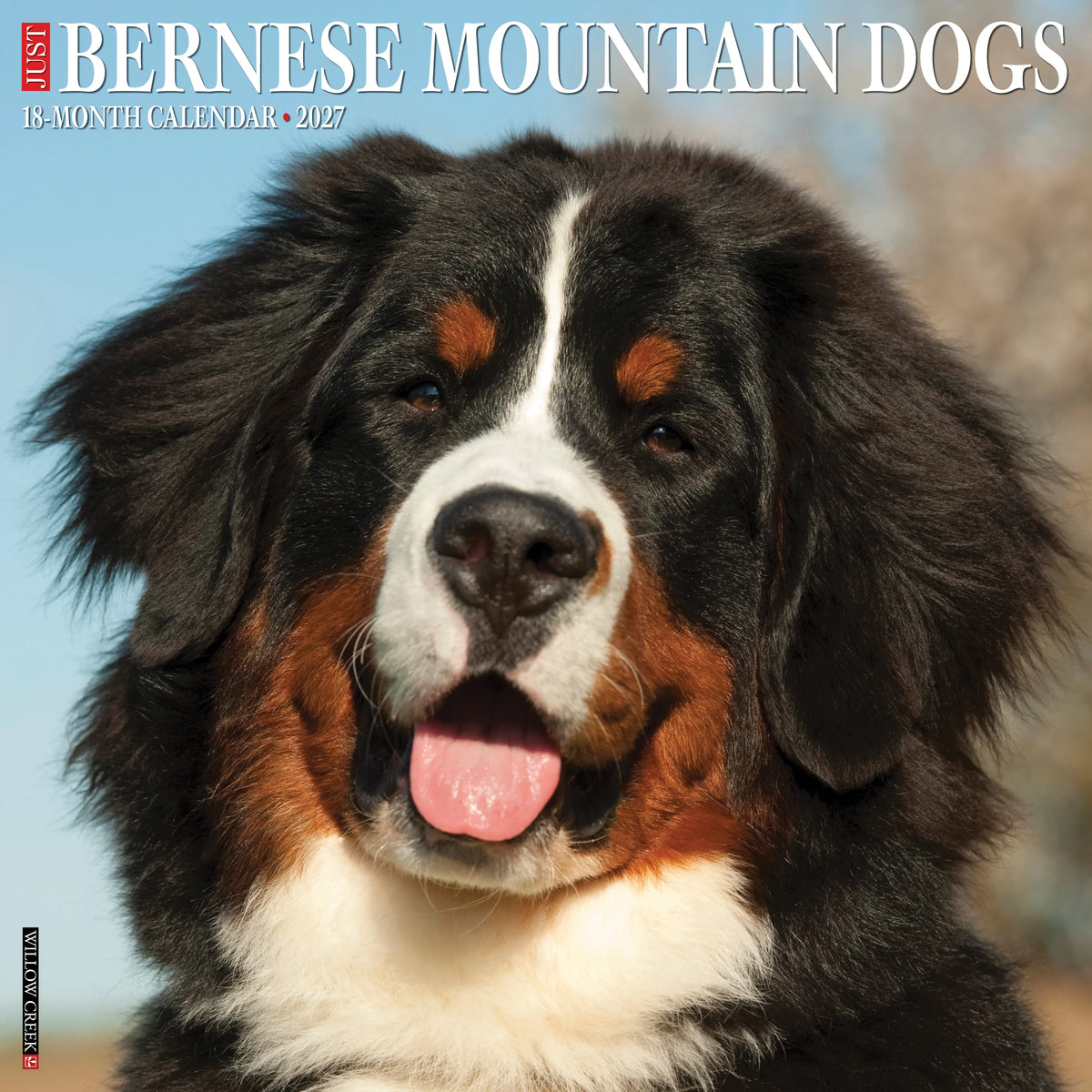 Willow Creek Press - 2027 Bernese Mountain Dog Calendar