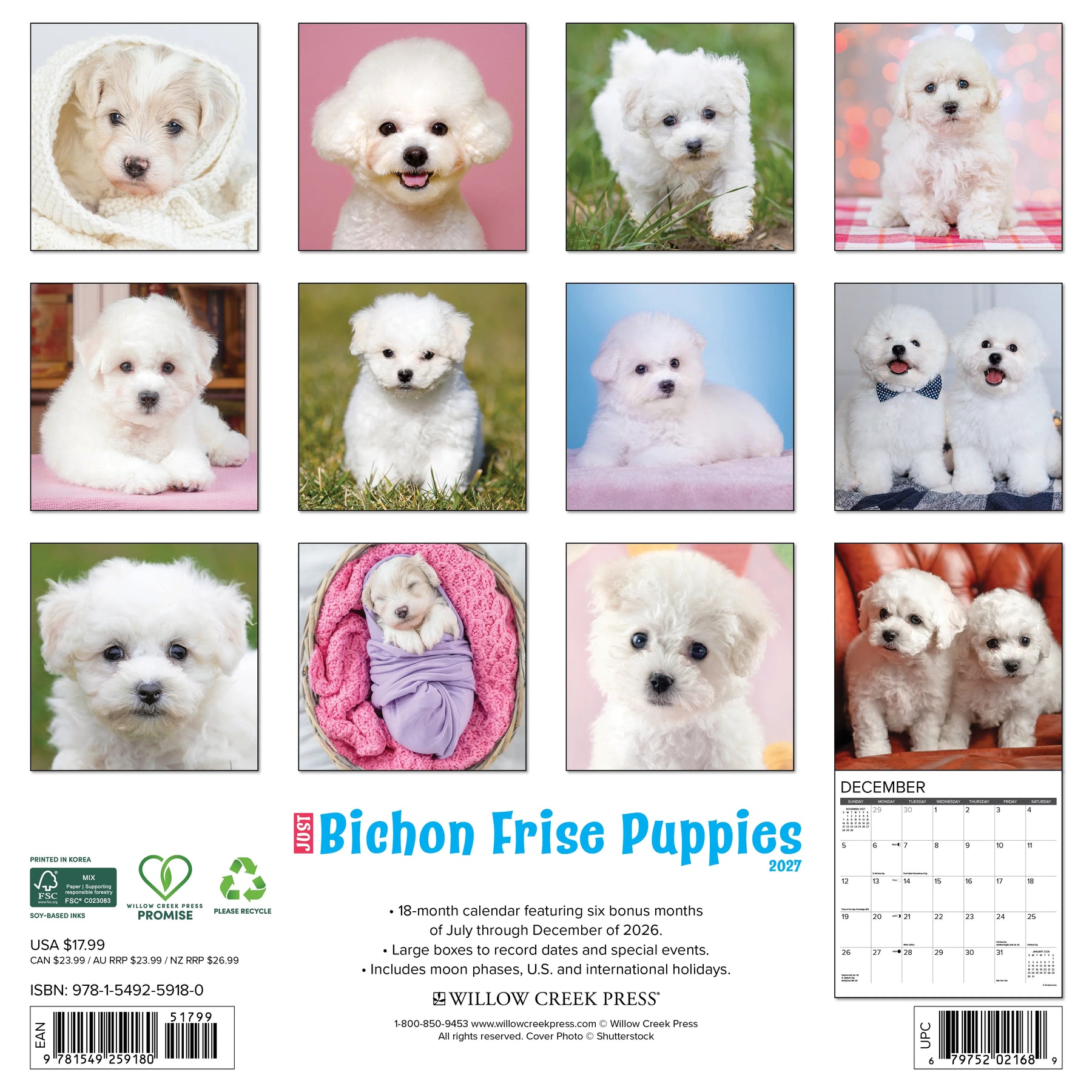 Willow Creek Press - 2027 Bichon Frise Puppies Calendar