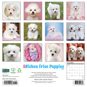 Willow Creek Press - 2027 Bichon Frise Puppies Calendar