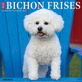 Willow Creek Press - 2027 Bichon Frises Calendar