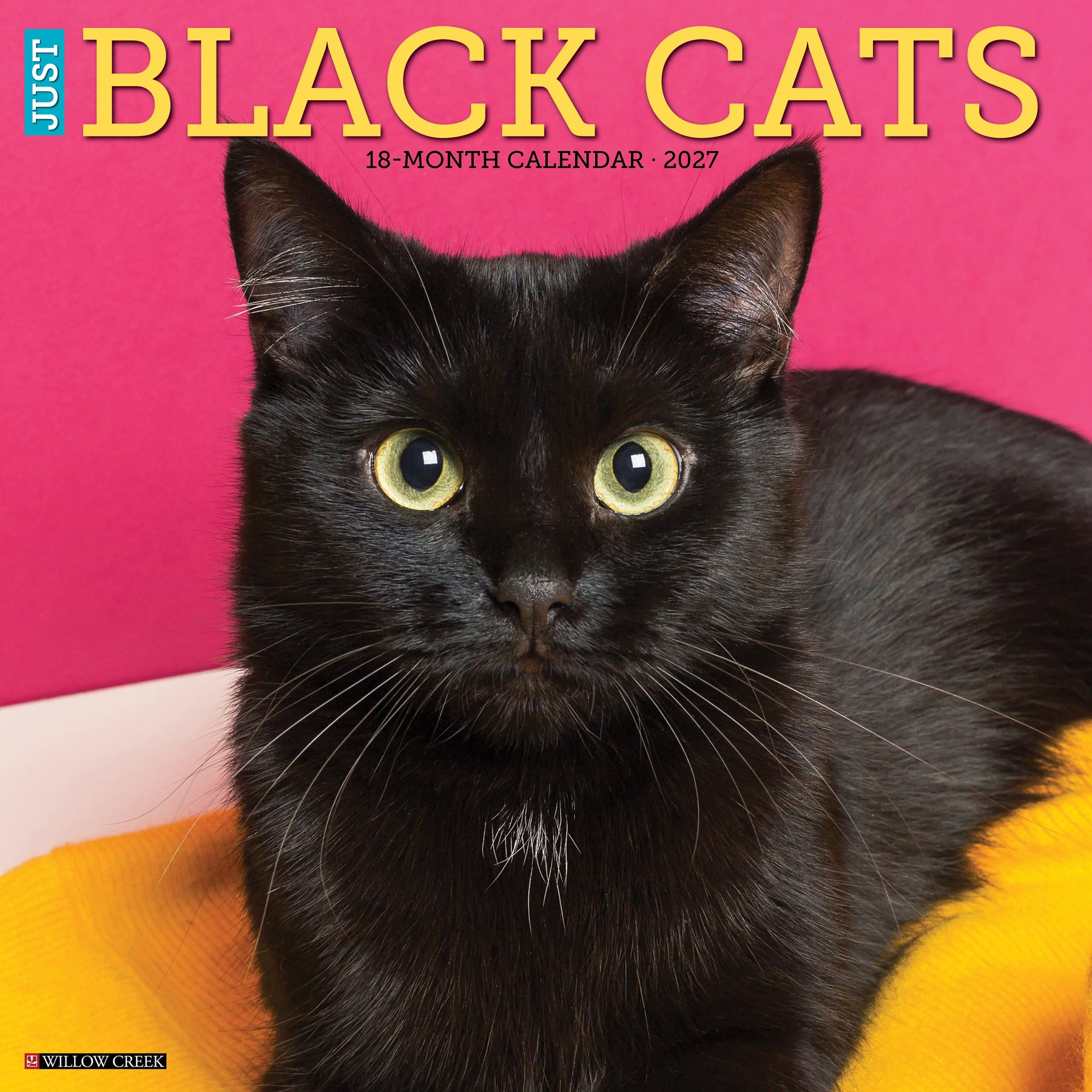 Willow Creek Press - 2027 Black Cats Calendar