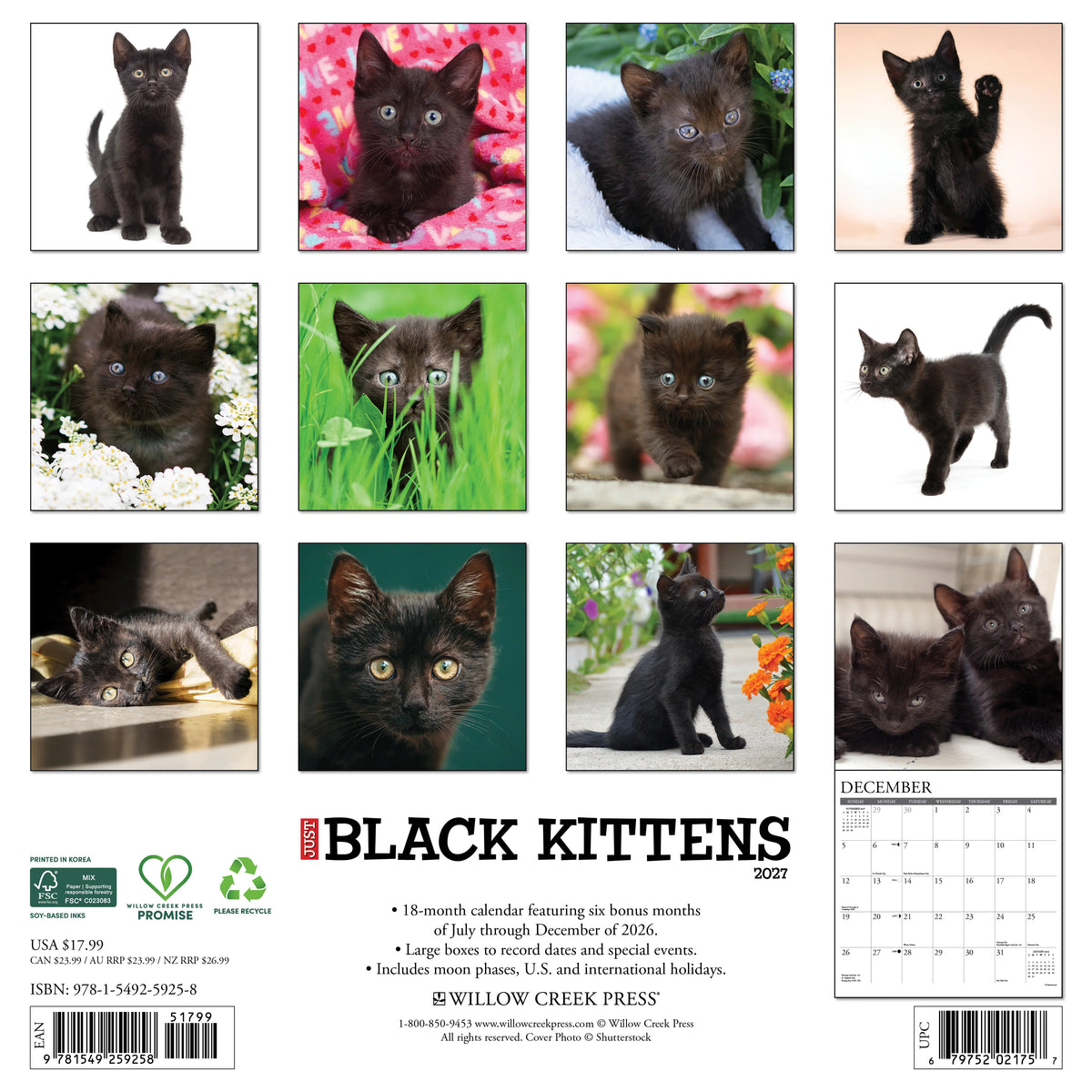 Willow Creek Press - 2027 Black Kittens Calendar