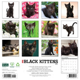 Willow Creek Press - 2027 Black Kittens Calendar