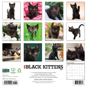 Willow Creek Press - 2027 Black Kittens Calendar