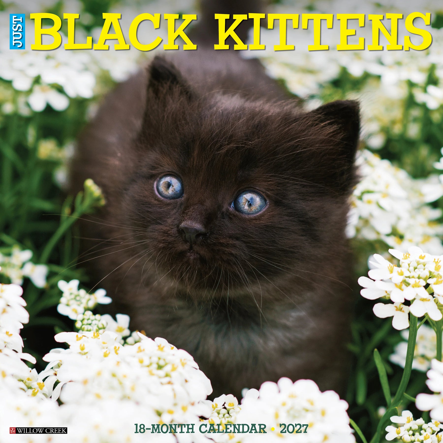 Willow Creek Press - 2027 Black Kittens Calendar
