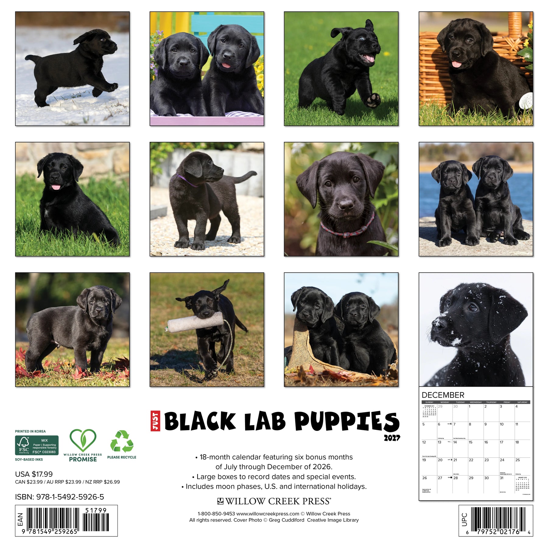Willow Creek Press - 2027 Black Lab Pups Calendar