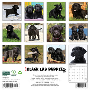 Willow Creek Press - 2027 Black Lab Pups Calendar