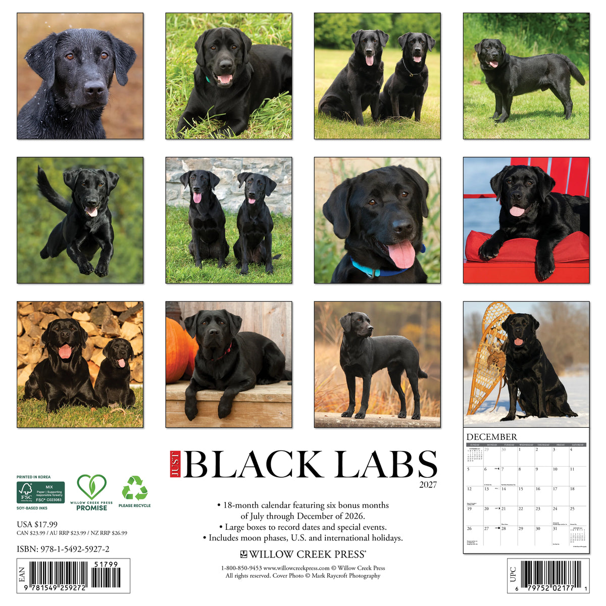 Willow Creek Press - 2027 Black Labs Calendar