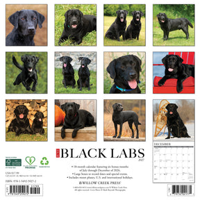 Willow Creek Press - 2027 Black Labs Calendar