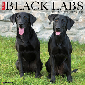 Willow Creek Press - 2027 Black Labs Calendar