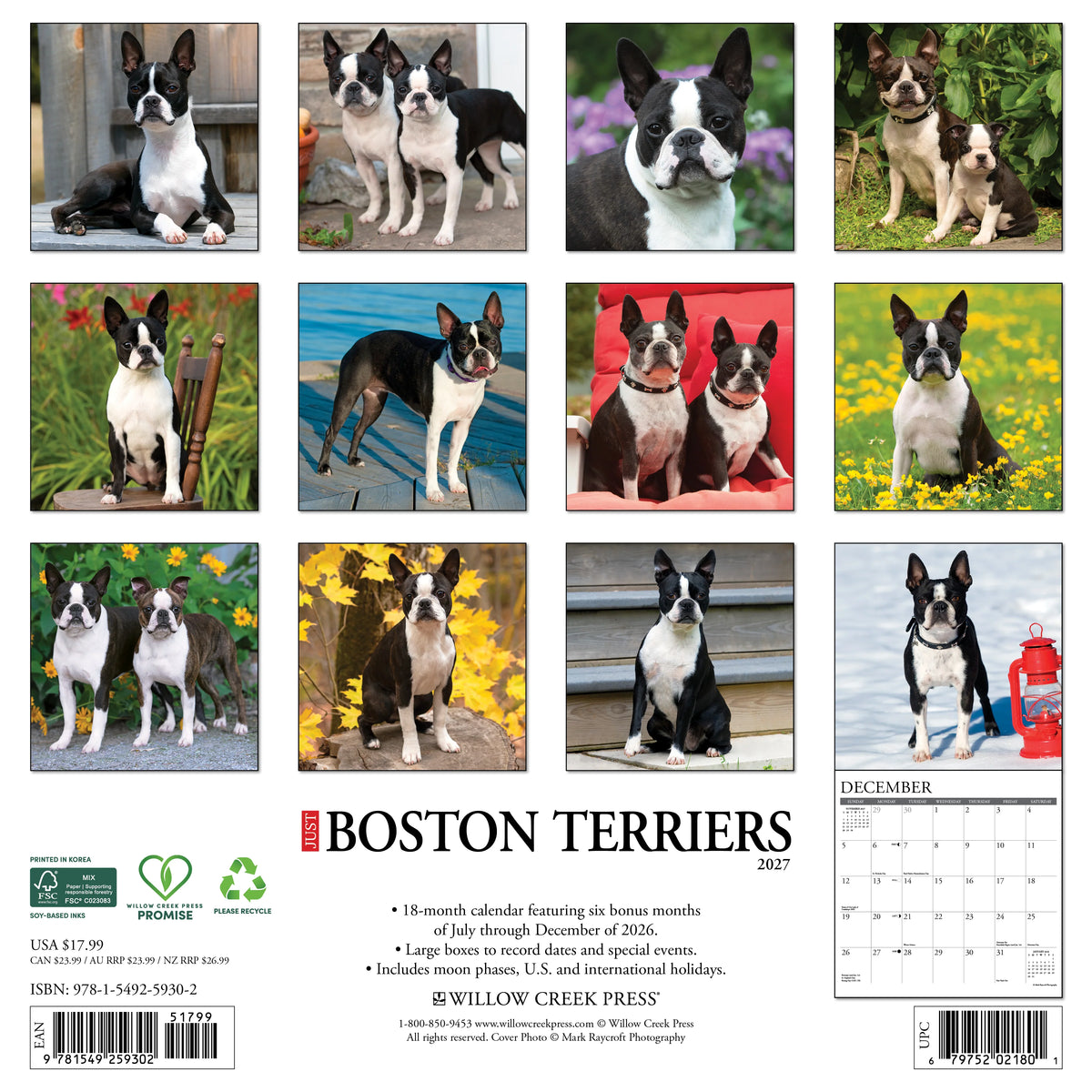 Willow Creek Press - 2027 Boston Terriers Calendar