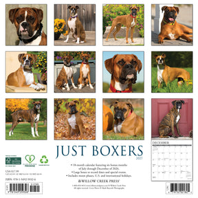 Willow Creek Press - 2027 Boxers Calendar