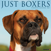 Willow Creek Press - 2027 Boxers Calendar