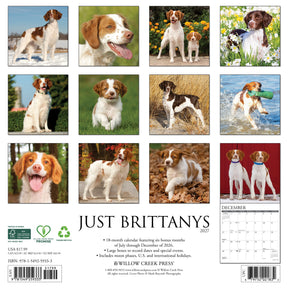 Willow Creek Press - 2027 Brittanys Calendar