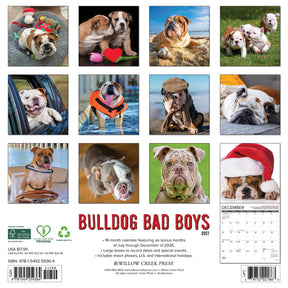 Willow Creek Press - 2027 Bulldog Bad Boys Calendar