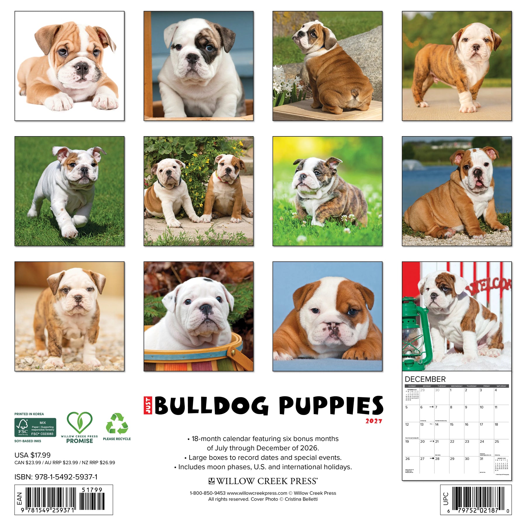 Willow Creek Press - 2027 Bulldog Puppies Calendar
