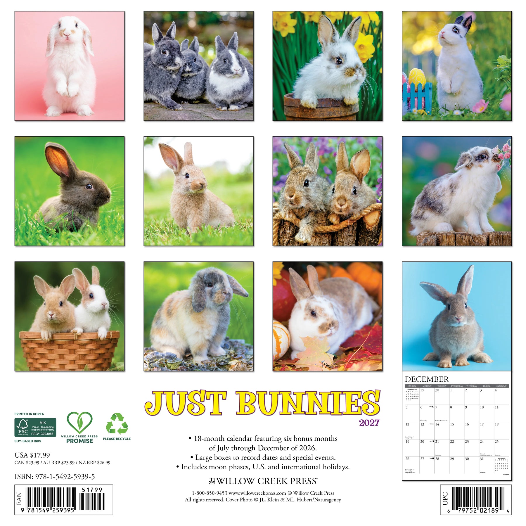 Willow Creek Press - 2027 Bunnies Calendar