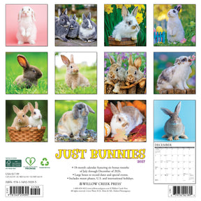 Willow Creek Press - 2027 Bunnies Calendar