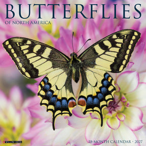 Willow Creek Press - 2027 Butterflies Of North America Calendar