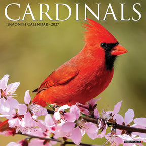 Willow Creek Press - 2027 Cardinals Cardinal