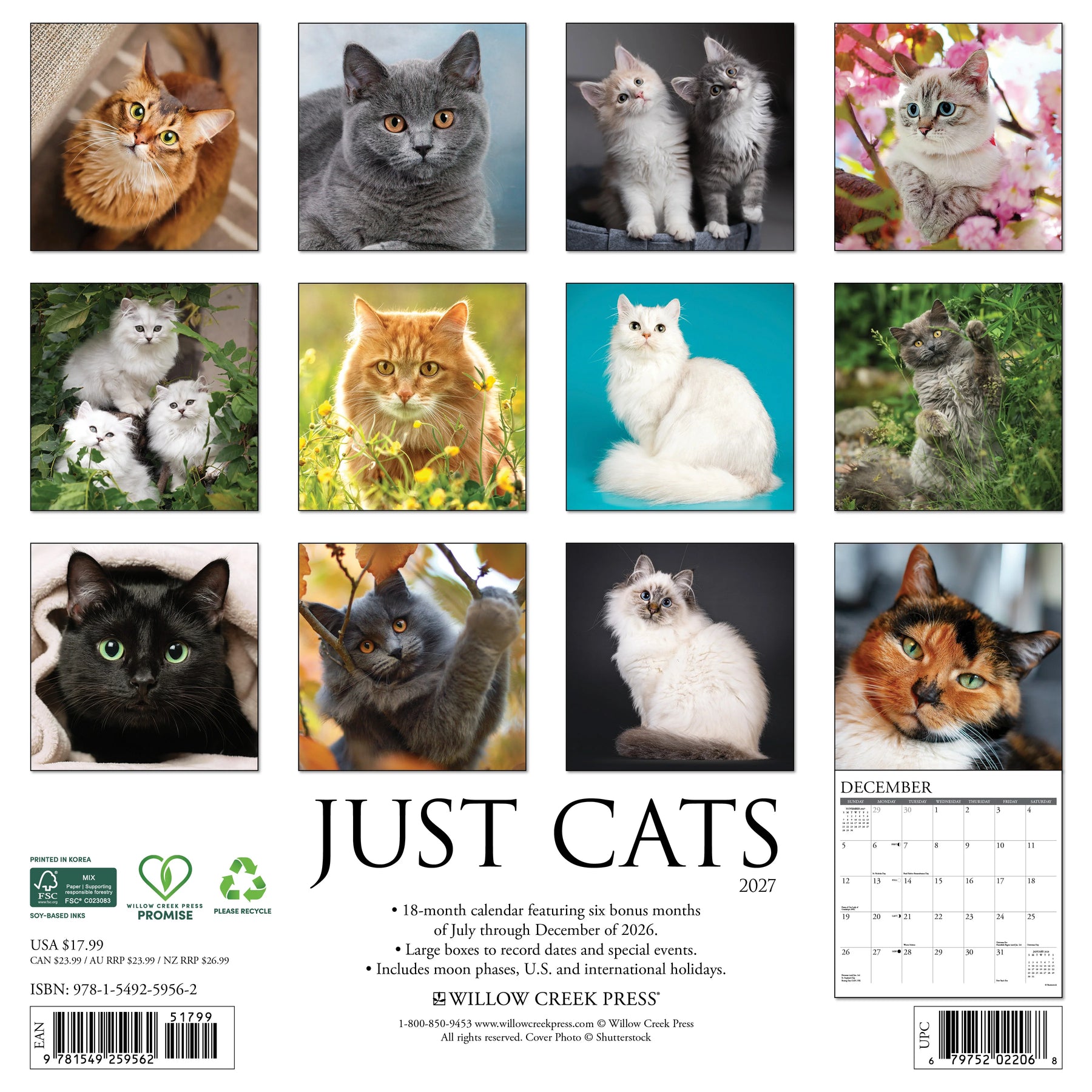 Willow Creek Press - 2027 Cats Calendar
