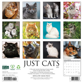 Willow Creek Press - 2027 Cats Calendar