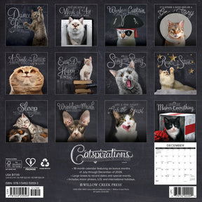 Willow Creek Press - 2027 Catspirations Calendar