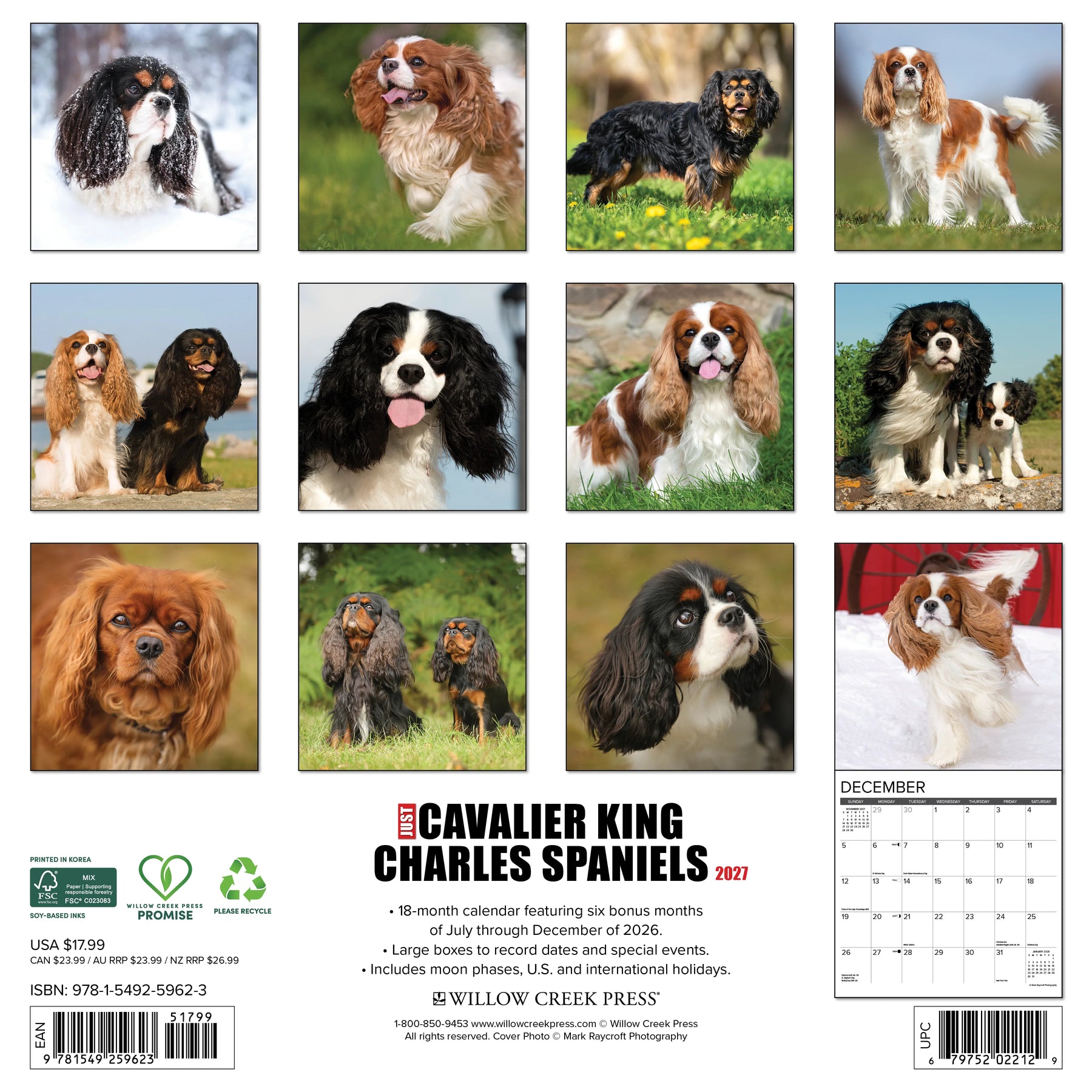 Willow Creek Press - 2027 Cavalier King Charles Spaniels Calendar