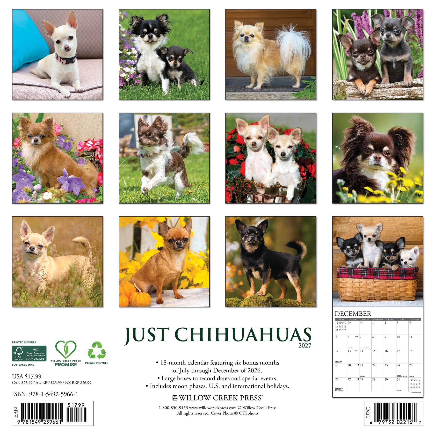 Willow Creek Press - 2027 Chihuahuas Calendar