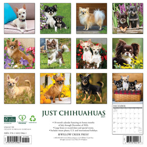 Willow Creek Press - 2027 Chihuahuas Calendar