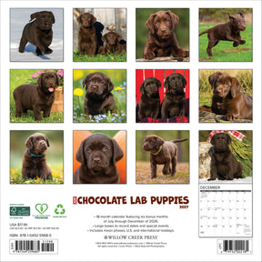Willow Creek Press - 2027 Chocolate Lab Pups Calendar