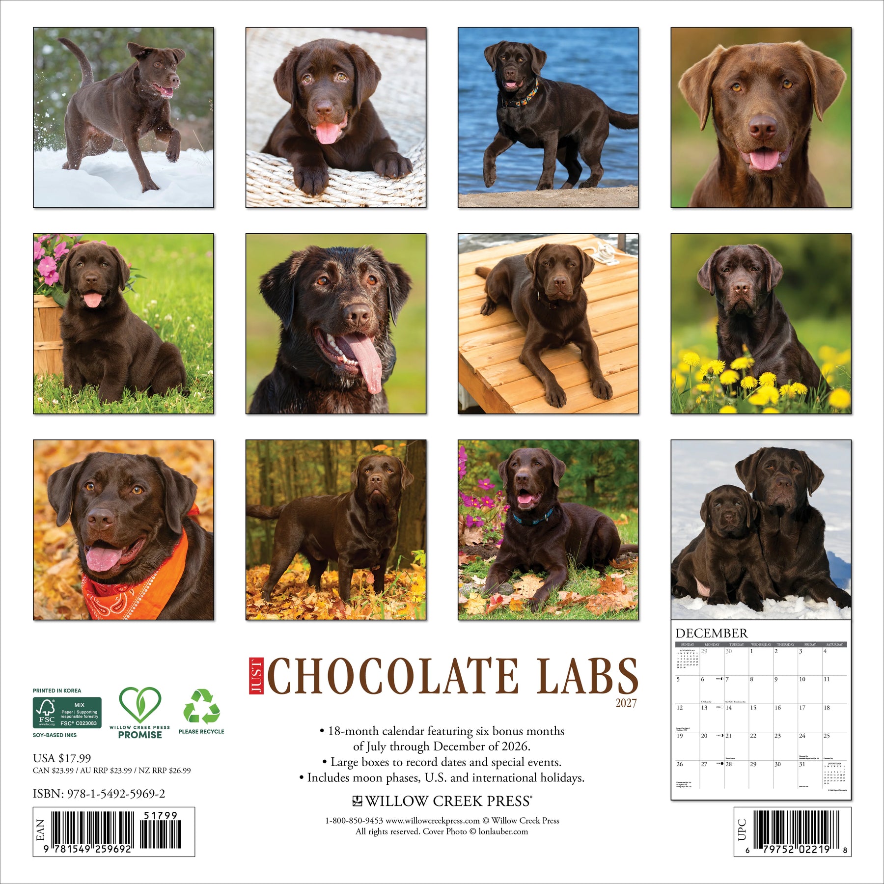 Willow Creek Press - 2027 Chocolate Labs Calendar