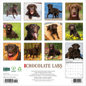 Willow Creek Press - 2027 Chocolate Labs Calendar