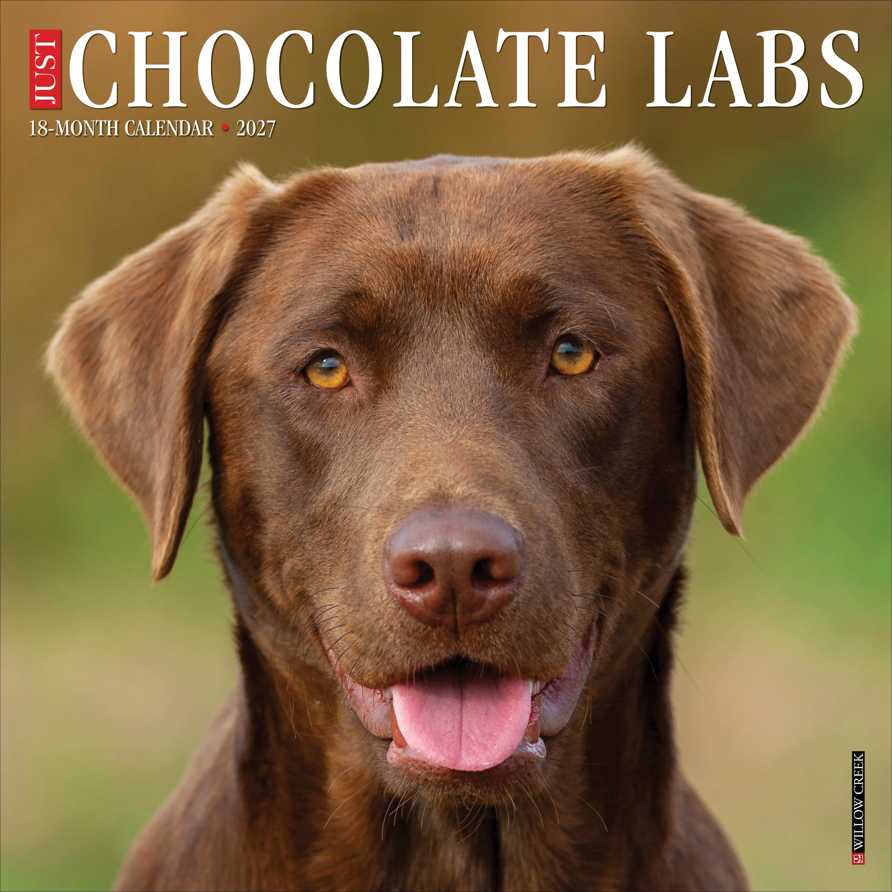 Willow Creek Press - 2027 Chocolate Labs Calendar