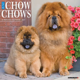 Willow Creek Press - 2027 Chow Chows Calendar