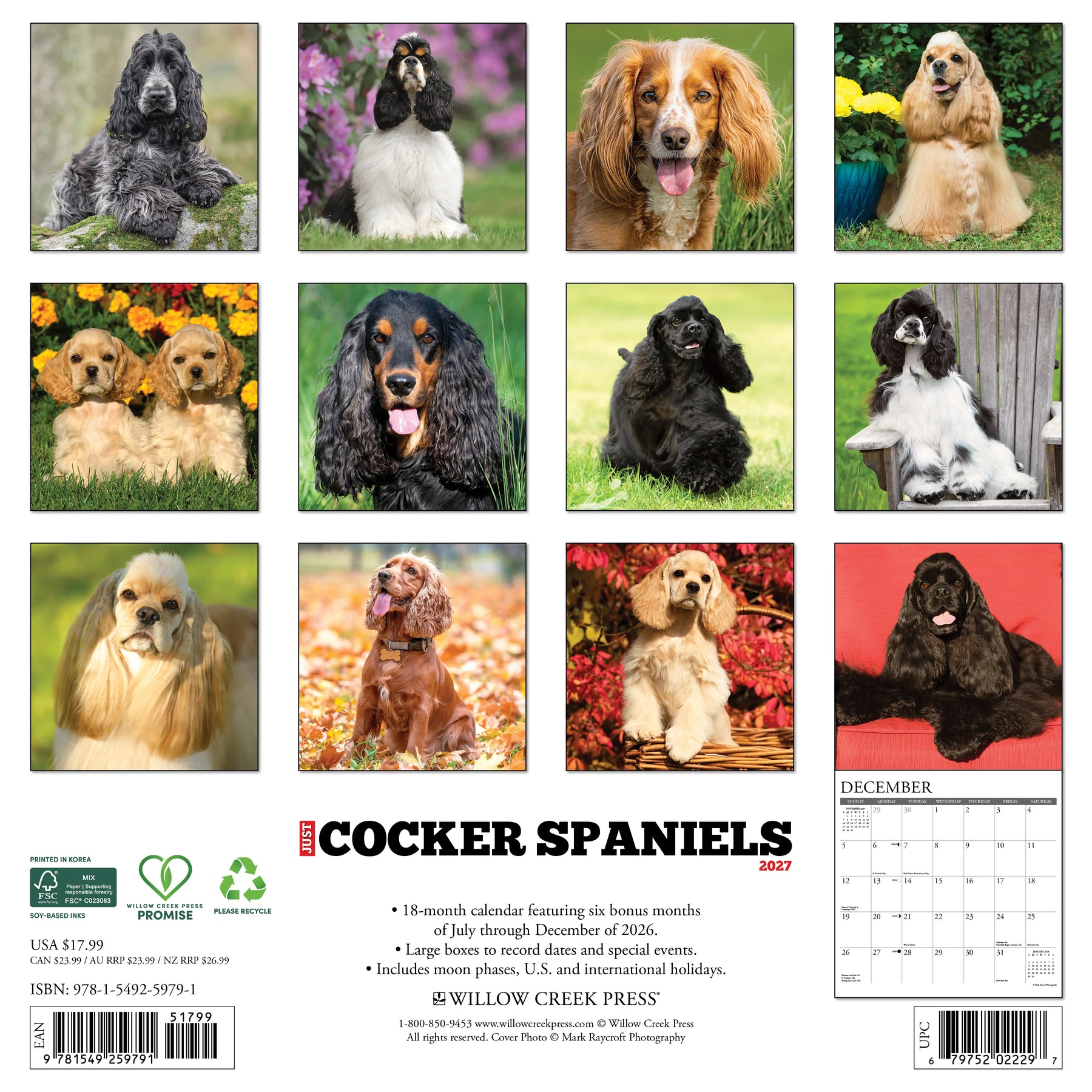 Willow Creek Press - 2027 Cocker Spaniels Calendar
