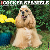 Willow Creek Press - 2027 Cocker Spaniels Calendar