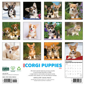 Willow Creek Press - 2027 Corgi Puppies