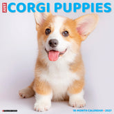 Willow Creek Press - 2027 Corgi Puppies