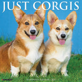 Willow Creek Press - 2027 Corgis Calendar