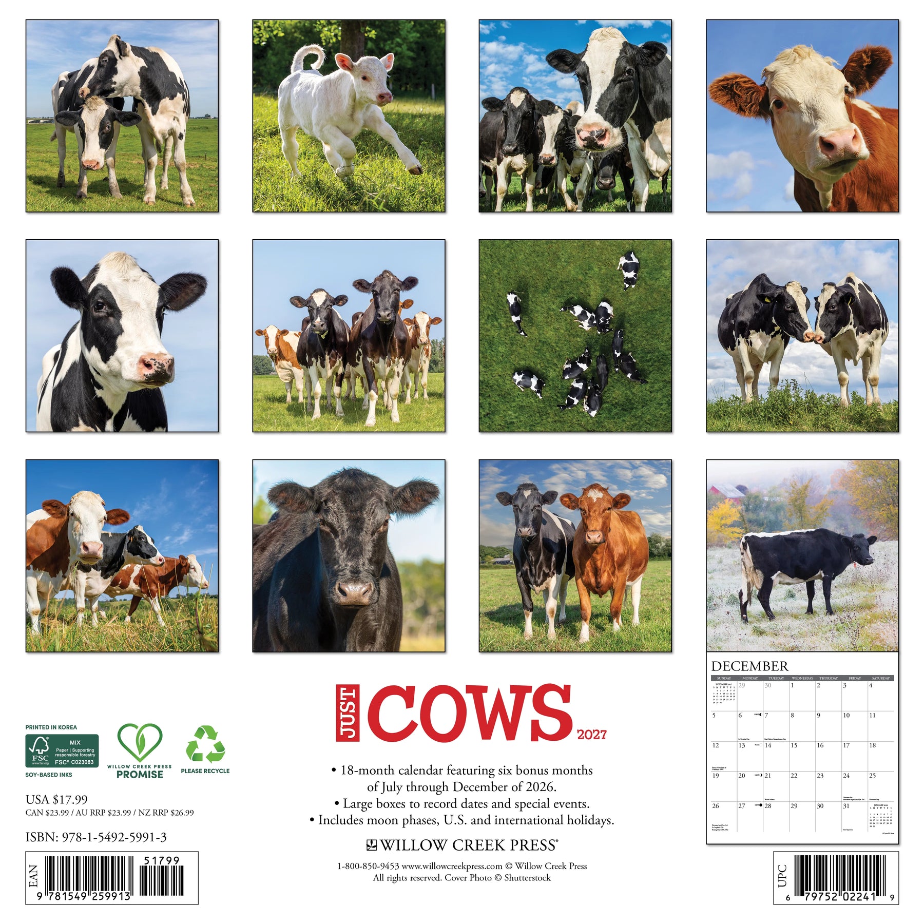 Willow Creek Press - 2027 Cows Calendar