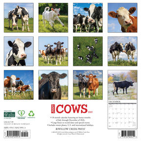 Willow Creek Press - 2027 Cows Calendar